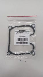 Прокладка крышки головки цилиндра для мотоцикла Racer RC250-GY8X Flash, RC250-GY8A Ranger, RC250XZR-A Storm, ZS177A016