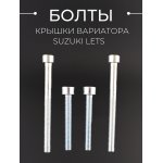 Болты крышки вариатора Suzuki LETS (шестигранный шлиц, 4шт) AS BEEZMOTO