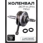 Коленвал Delta 125, JH125, TTR125 (под палец 13mm, с шестерней маслонасоса, +сальники) LIPAI