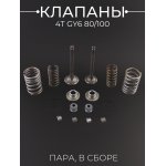 Клапаны (пара, в сборе) 4T GY6 80/100 (L-64.3mm, d19.8/21.9) LIPAI