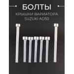 Болты крышки вариатора Suzuki AD50 (шестигранный шлиц, 7шт) ASBEEZMOTO